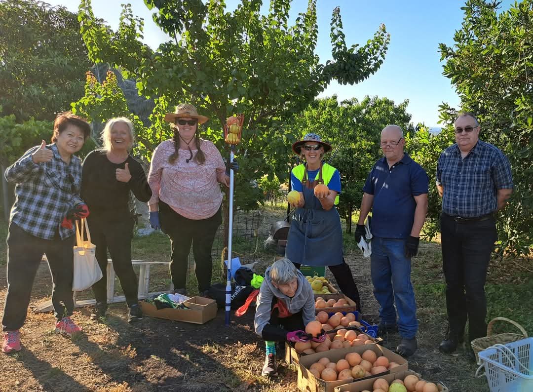 Sellicks Hill Citrus Harvest